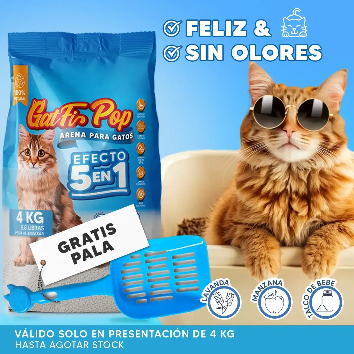 499919733_1246678674128139_8963916707674793903_n