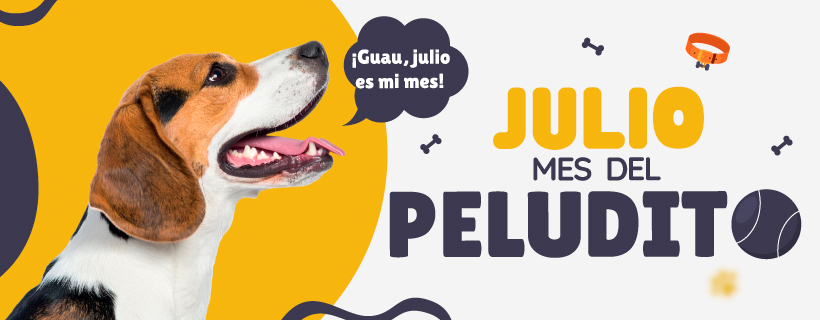 mes del perro
