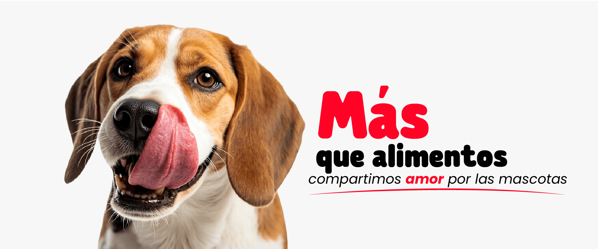 Más que alimentos Croketoon